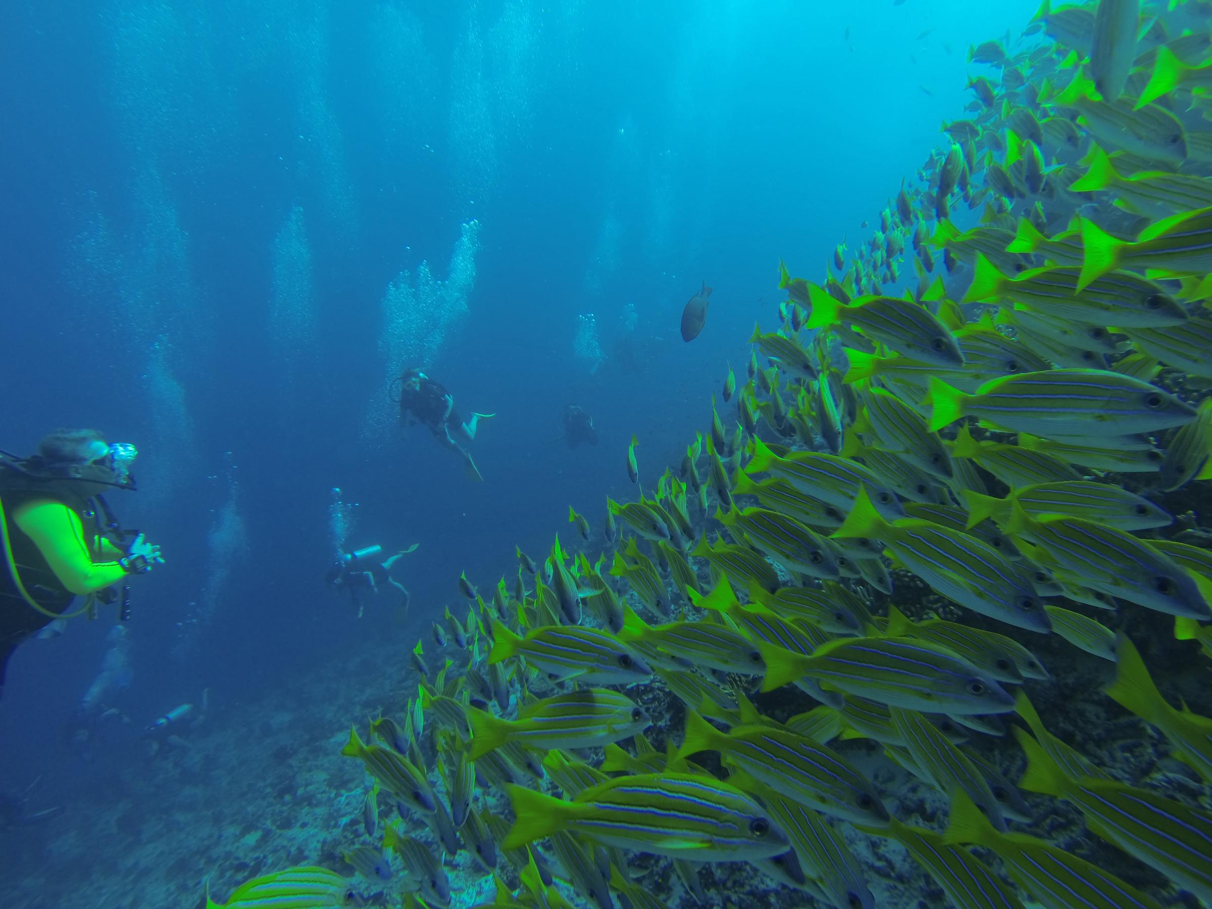 Dhawa Ihuru, Part Of Banyan Group Angsana Island Esterno foto