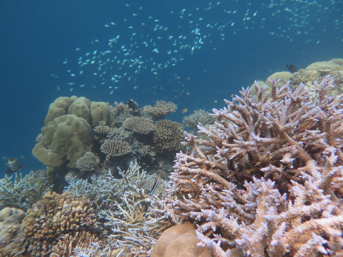 Dhawa Ihuru, Part Of Banyan Group Angsana Island Esterno foto